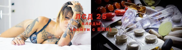 ешки Дмитриев