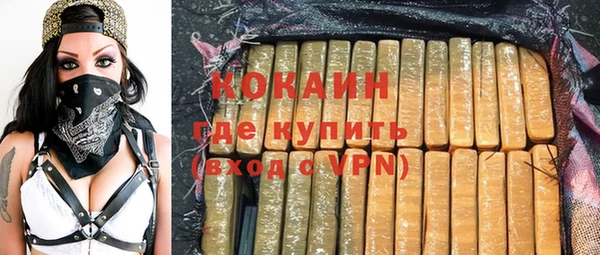 ешки Дмитриев