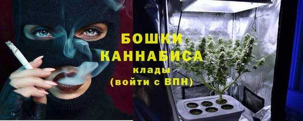 ешки Дмитриев