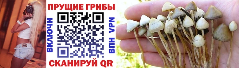 Галлюциногенные грибы Magic Shrooms цена наркотик Плавск